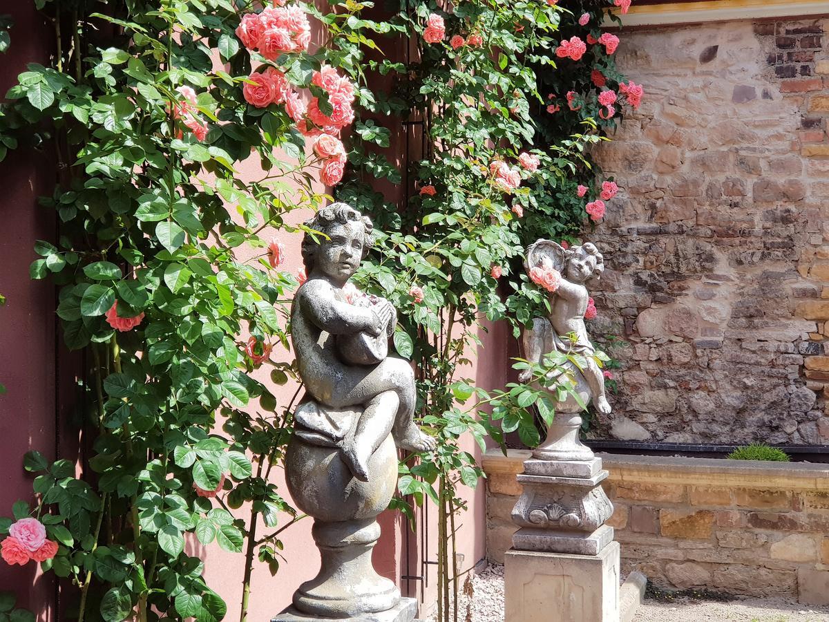 Le 1615 - Luxe Et Spa Colmar Exterior photo
